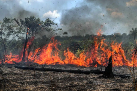 Fumaça de queimadas atinge cidades de dez estados